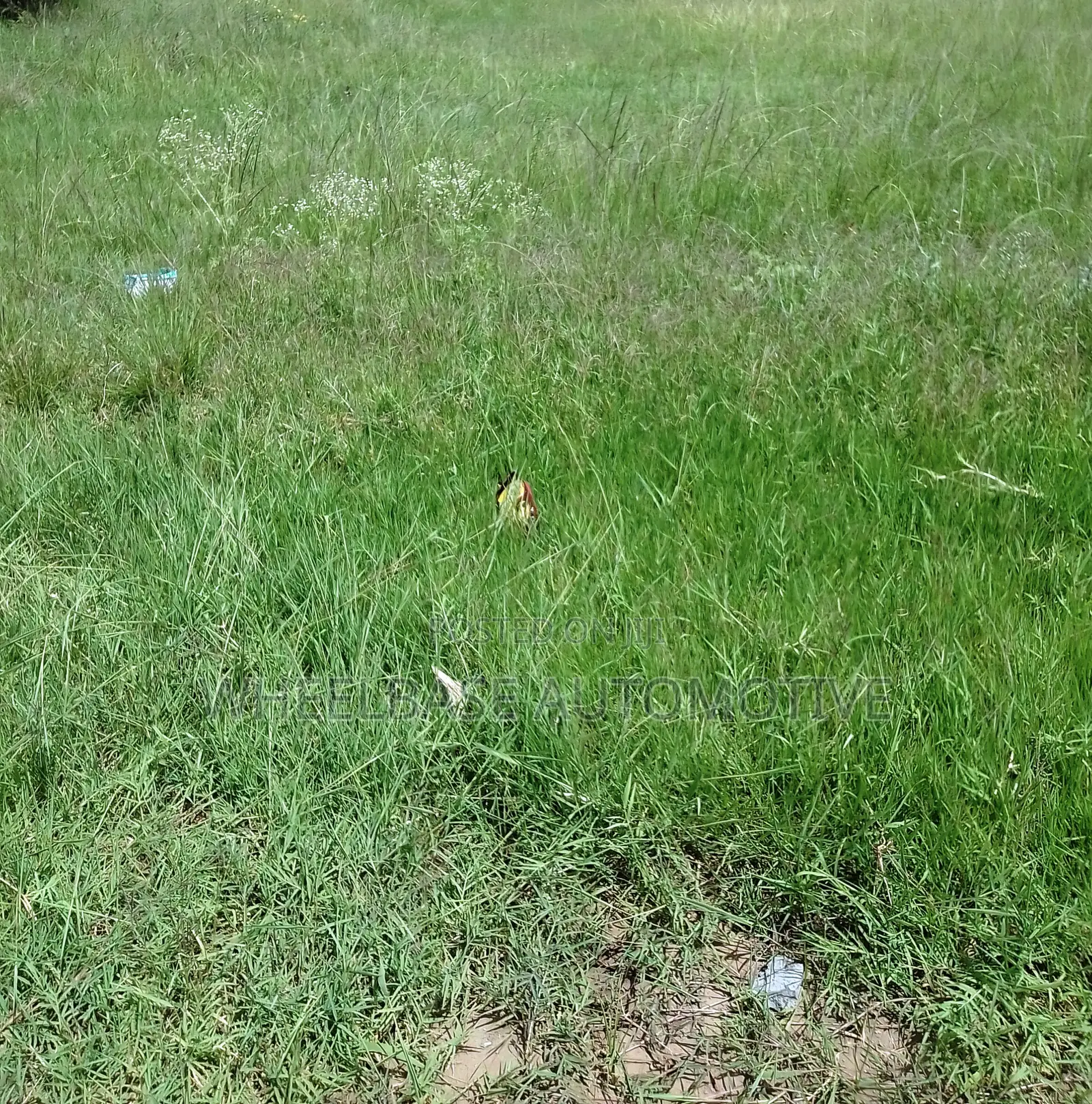100 Acres for Sale in Kipeto Kiserian Ready for Subdivision, Farming in Kiserian