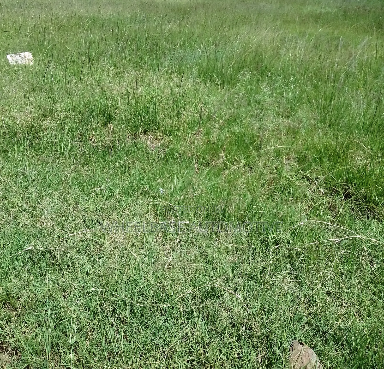 100 Acres for Sale in Kipeto Kiserian Ready for Subdivision, Farming in Kiserian