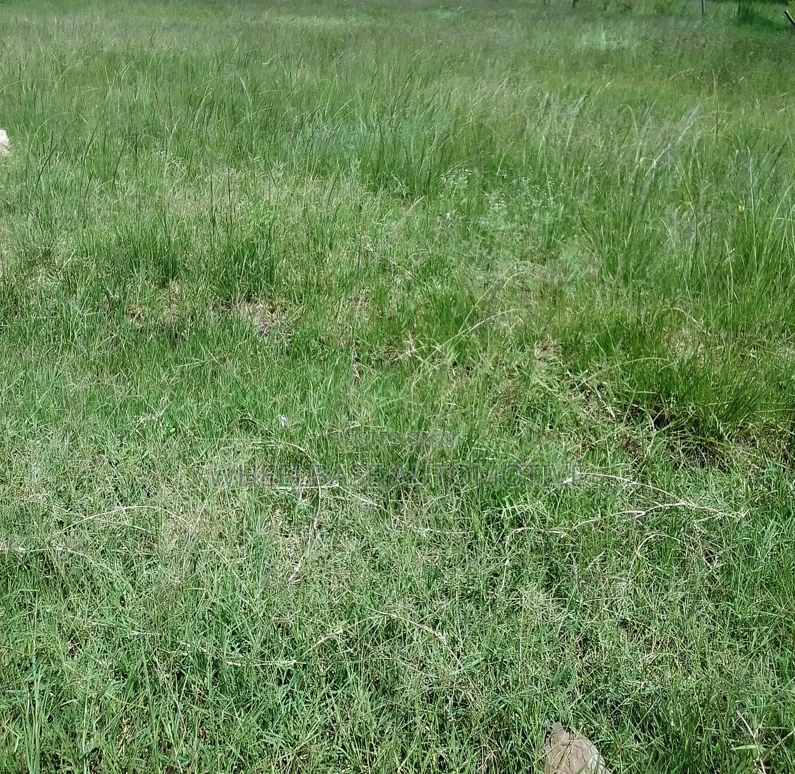 100 Acres for Sale in Kipeto Kiserian Ready for Subdivision, Farming in Kiserian