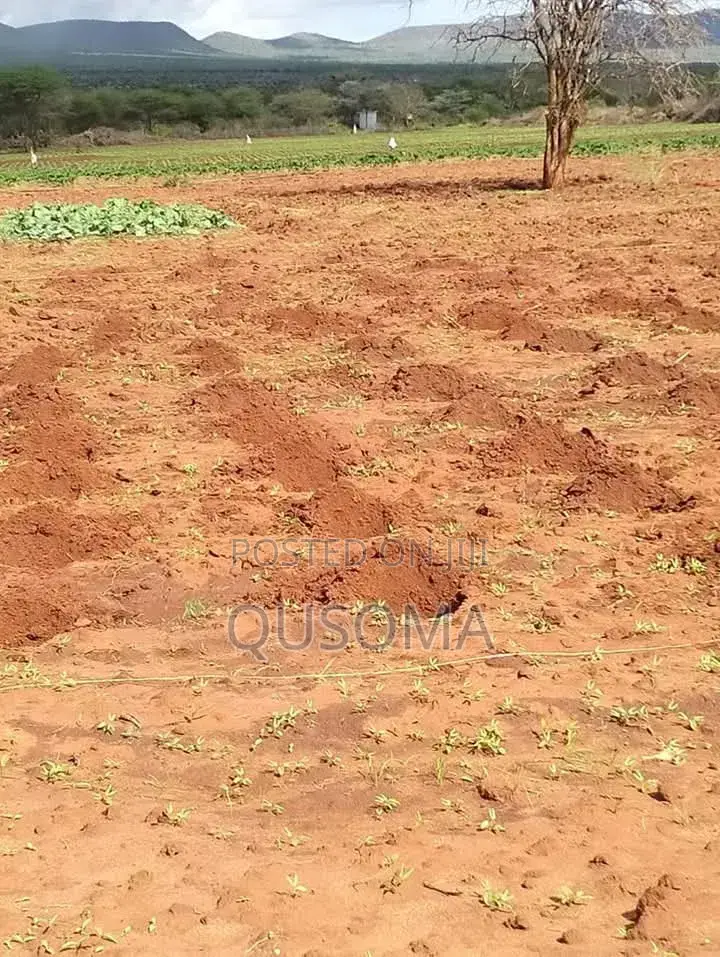 16 Acre at Mailua, Mile Tisa, Ready to Make You Money, Dragon Fruits in Bisil