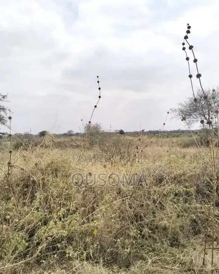 16 Acre at Mailua, Mile Tisa, Ready to Make You Money, Dragon Fruits in Bisil