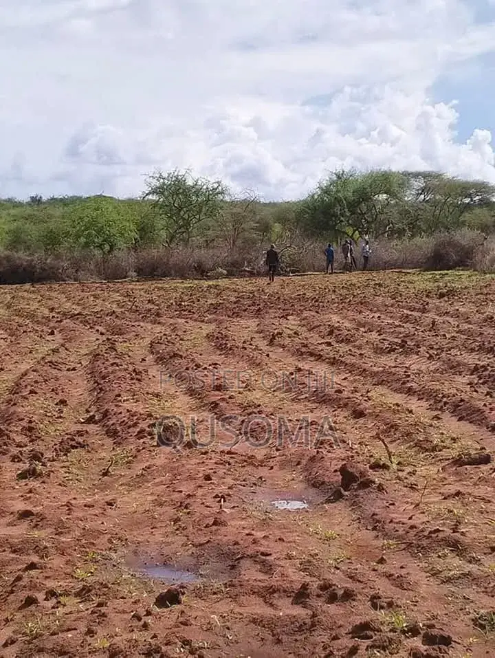 16 Acre at Mailua, Mile Tisa, Ready to Make You Money, Dragon Fruits in Bisil