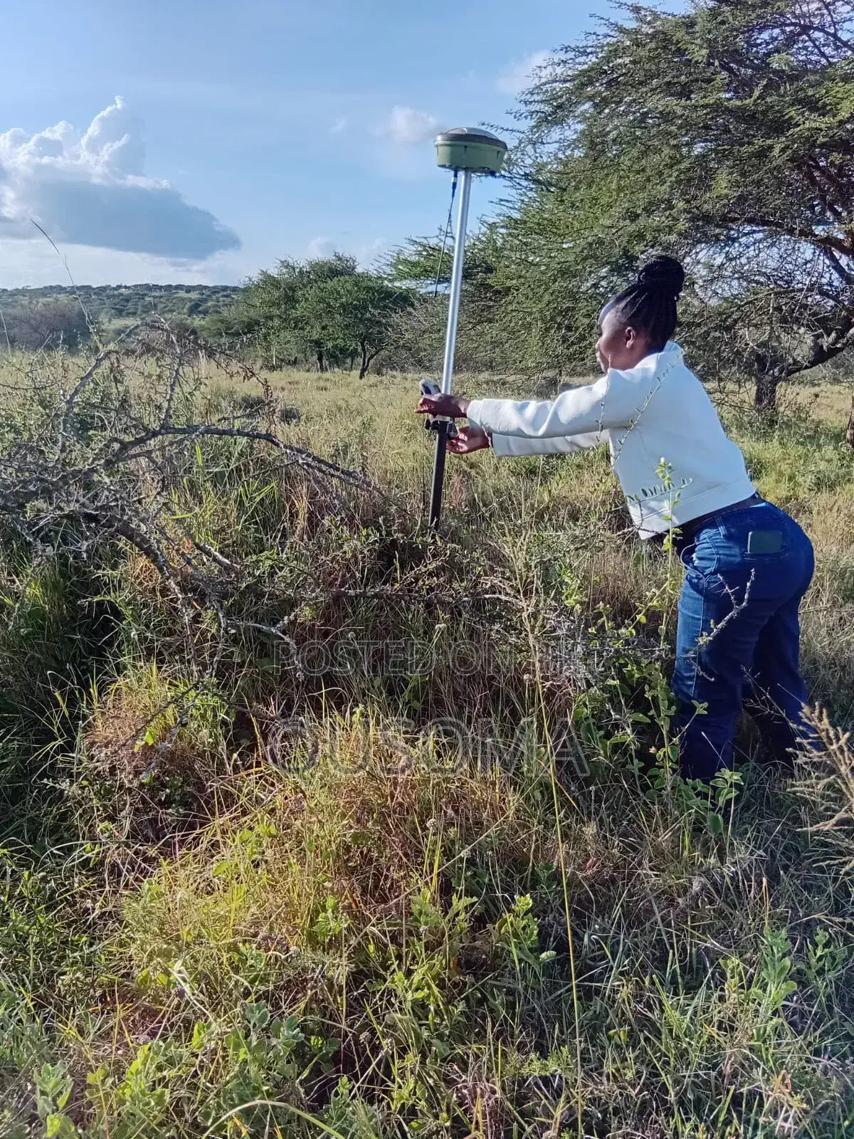16 Acre at Mailua, Mile Tisa, Ready to Make You Money, Dragon Fruits in Bisil