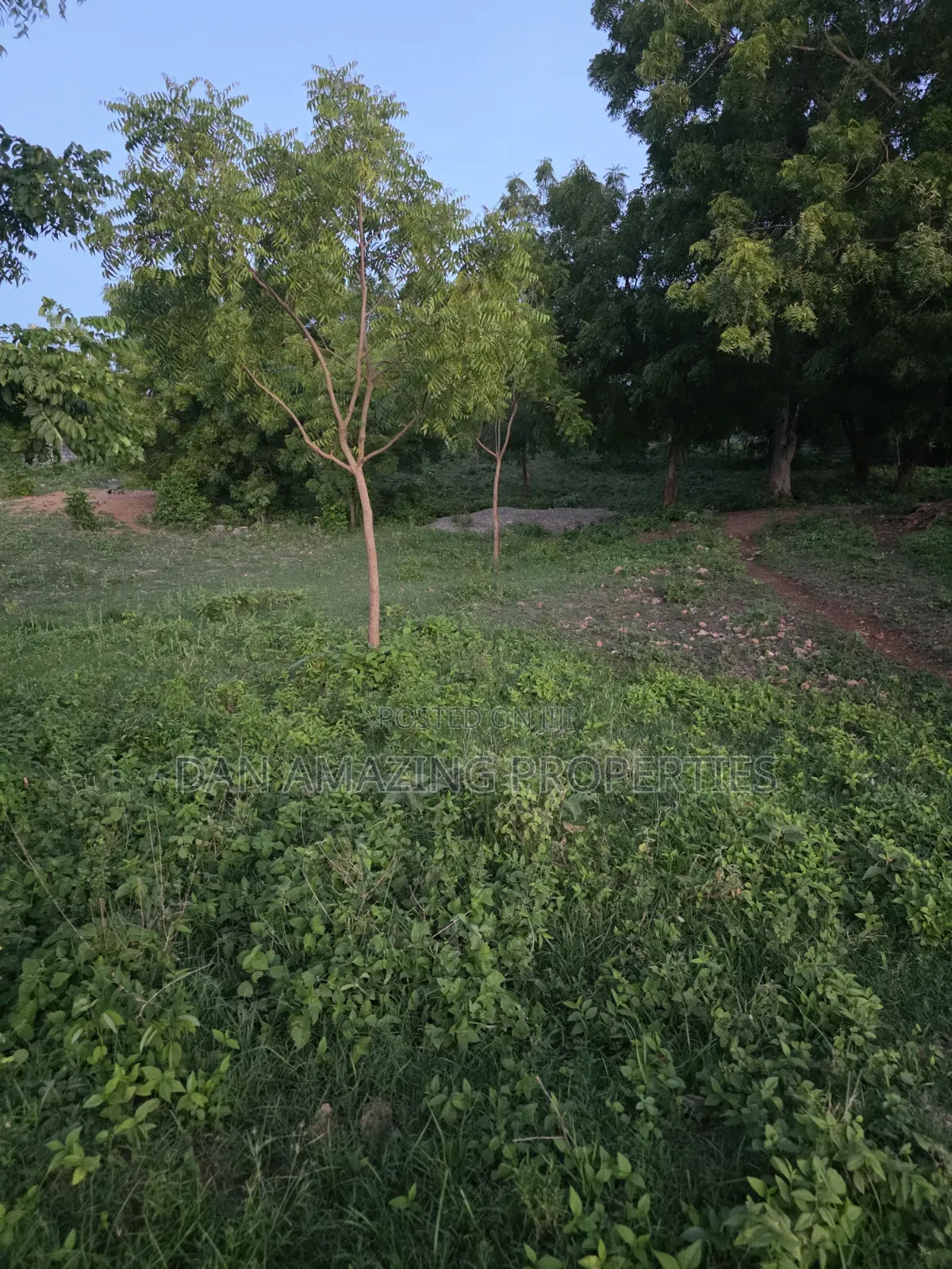 3.25 Beach Front Land For Sale In Diani Ukunda in Diani