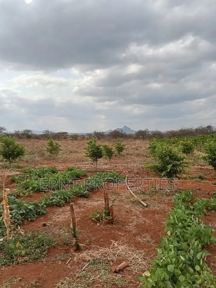 Dragon Fruit Farm — 16 Acres Earning-Ready* in Kajiado