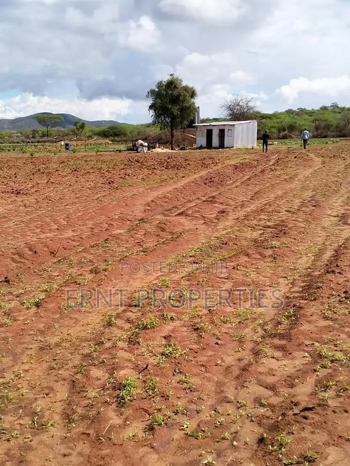 Dragon Fruit Farm — 16 Acres Earning-Ready* in Kajiado