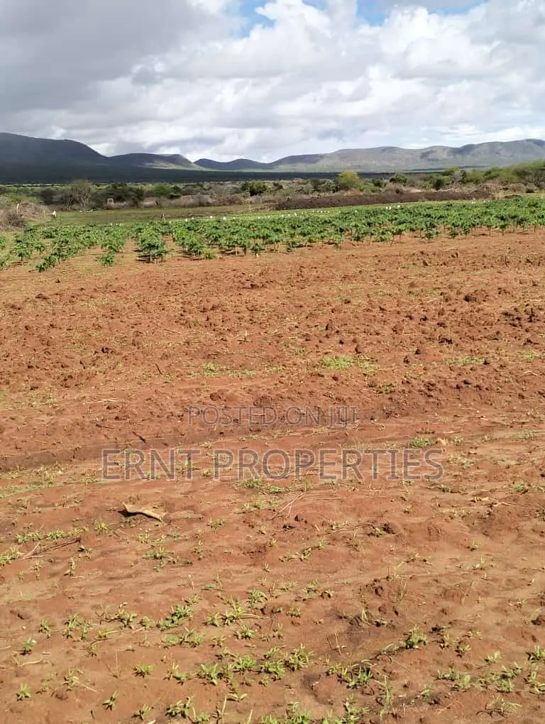Dragon Fruit Farm — 16 Acres Earning-Ready* in Kajiado
