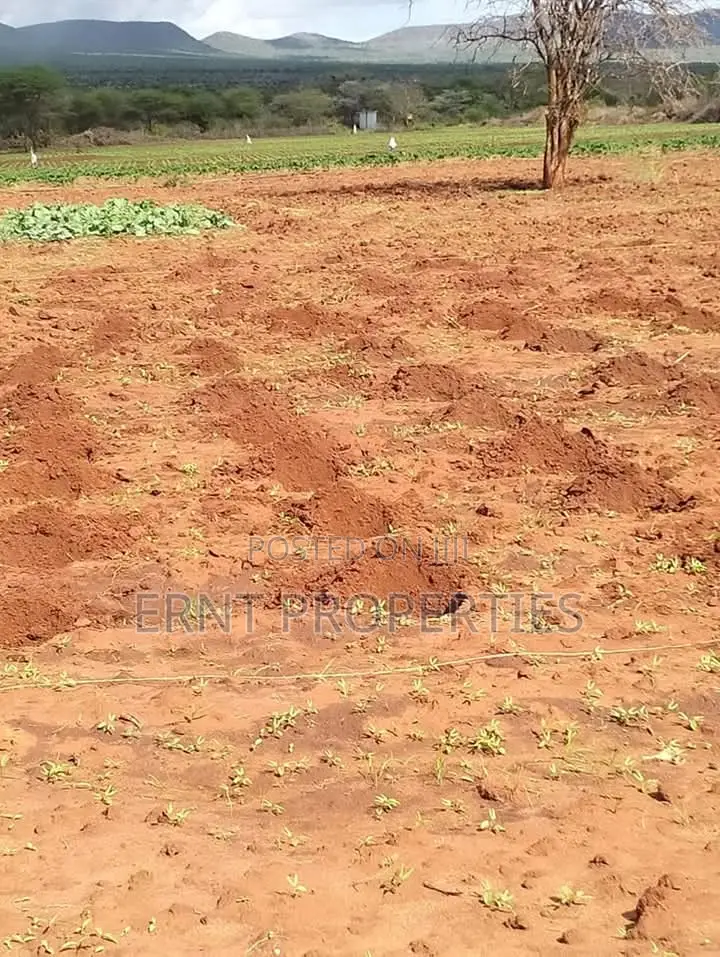 Dragon Fruit Farm — 16 Acres Earning-Ready* in Kajiado
