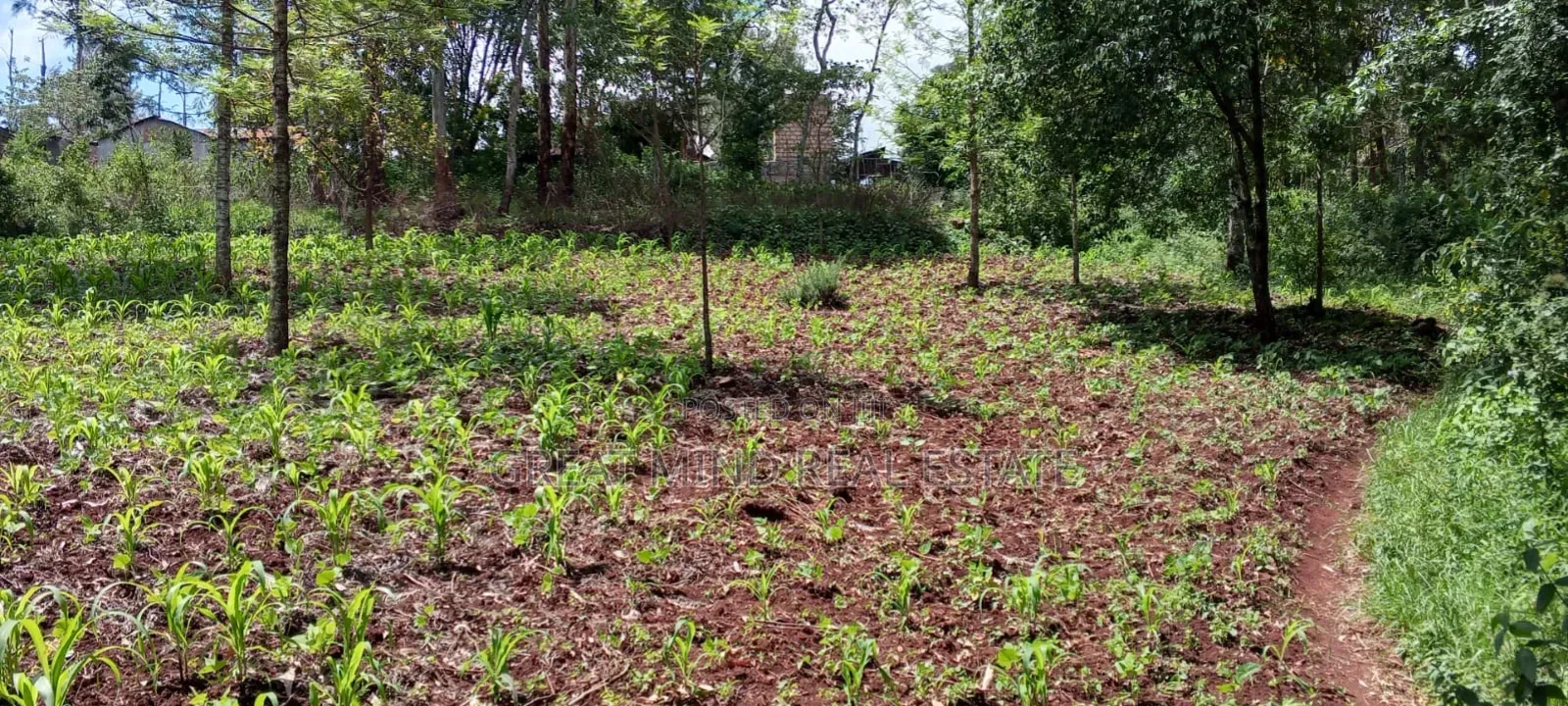 Prime Residential Plots on Sale in Kibiku