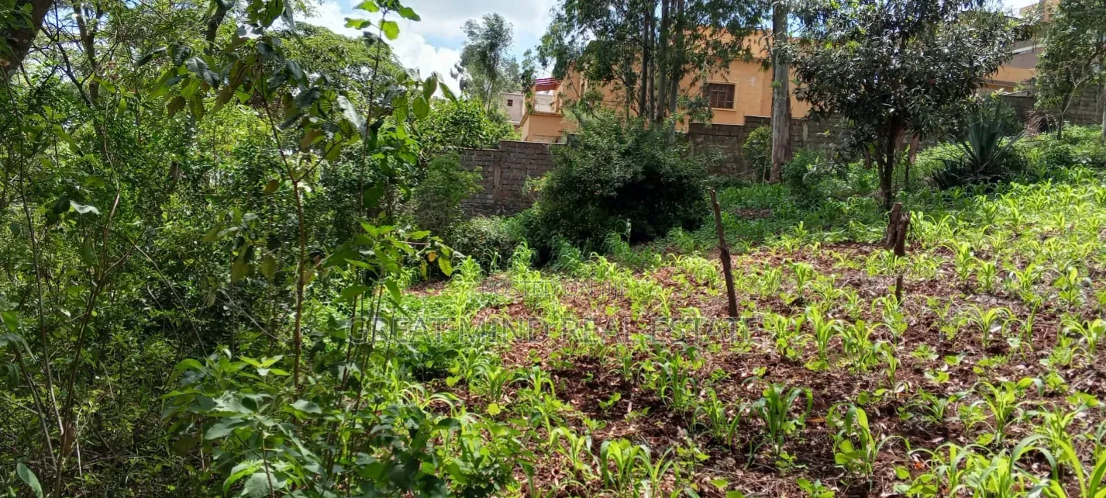 Prime Residential Plots on Sale in Kibiku