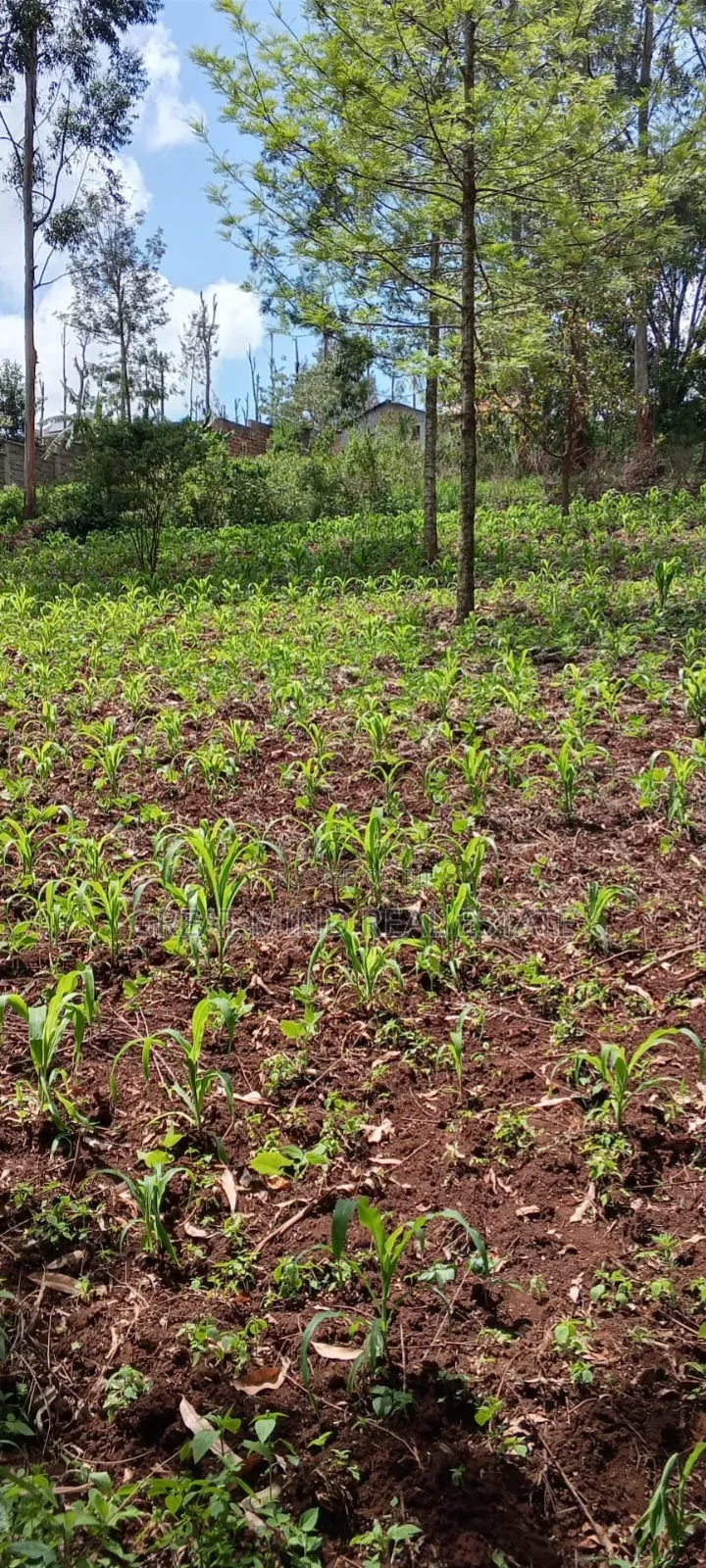 Prime Residential Plots on Sale in Kibiku