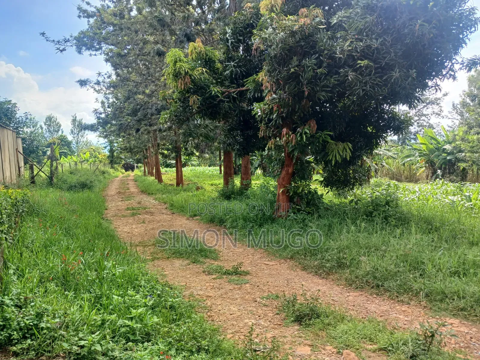Muranga Maragua Summary 4 Ac With Piped Water and 3phase Power Line in Makuyu