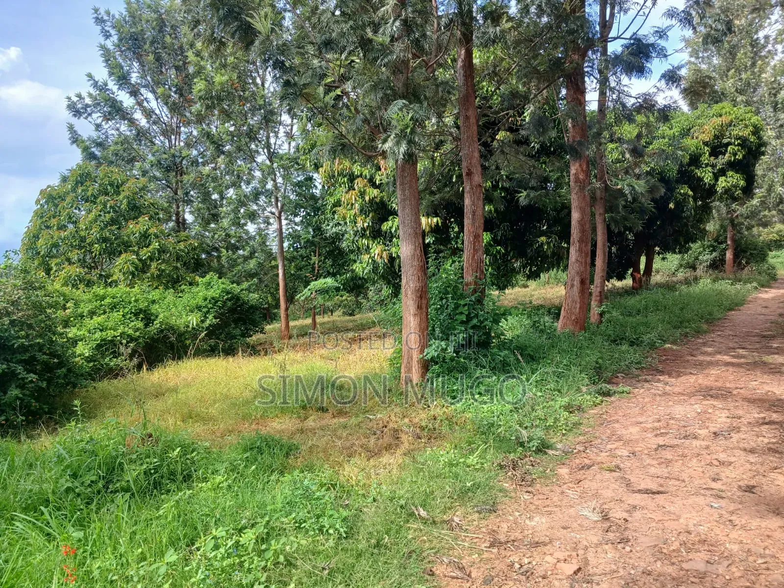 Muranga Maragua Summary 4 Ac With Piped Water and 3phase Power Line in Makuyu