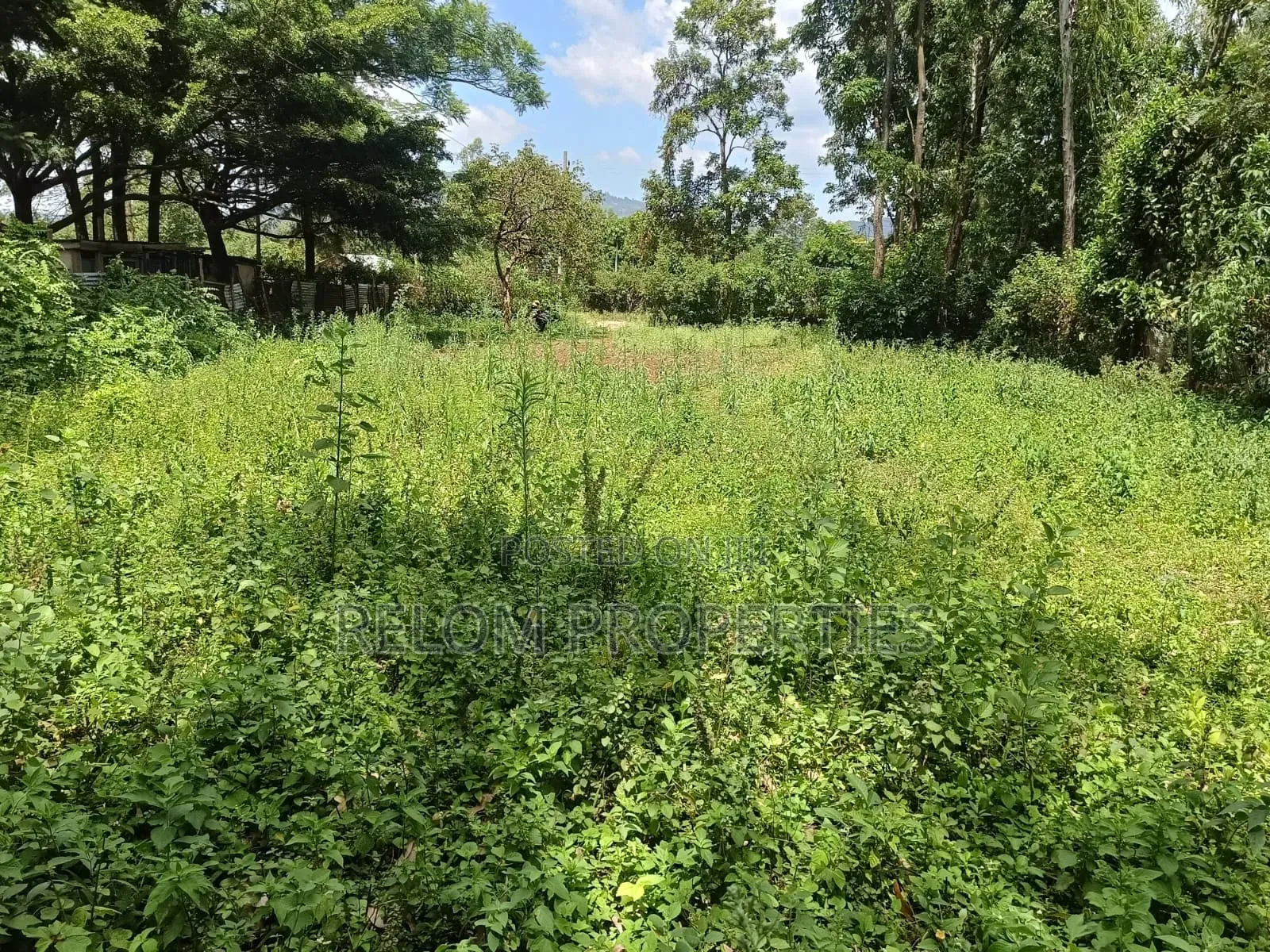 Prime Plot for Sale Daraja Mbili, Kisumu in Karen
