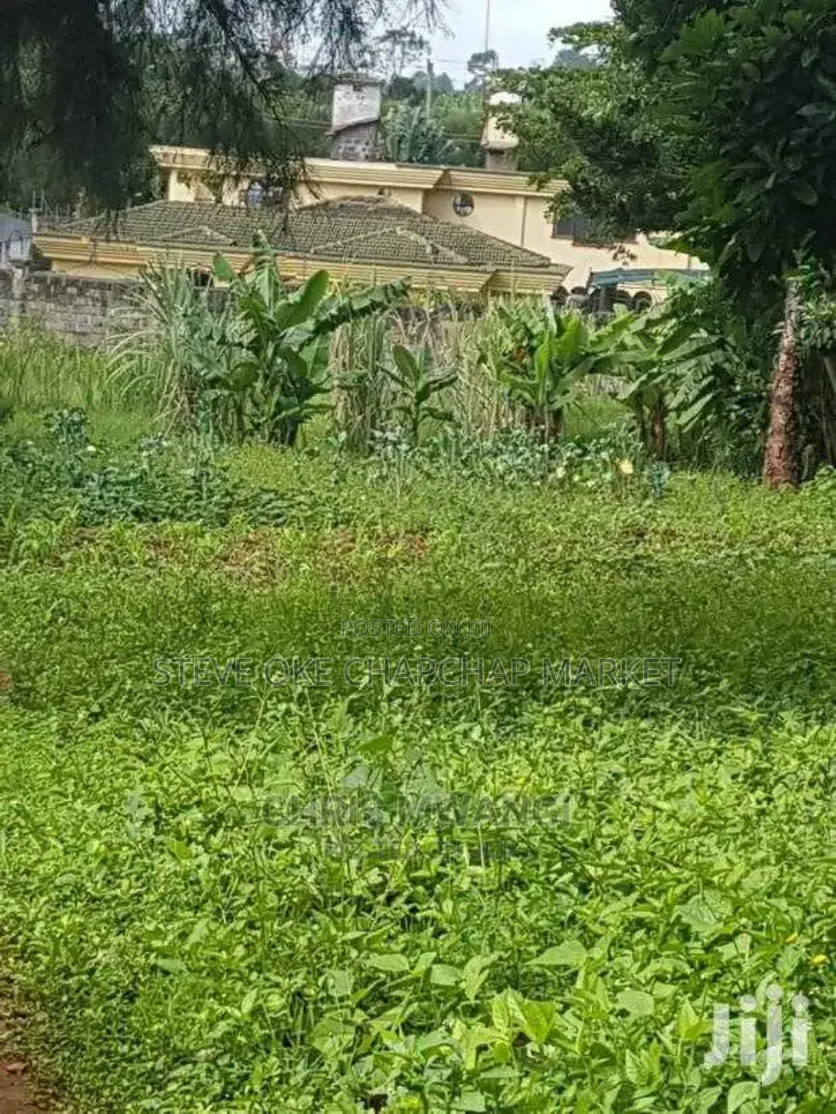 Runda Mumwe: 0.5-Acre Vacant Plot Ksh42m in Nairobi Central