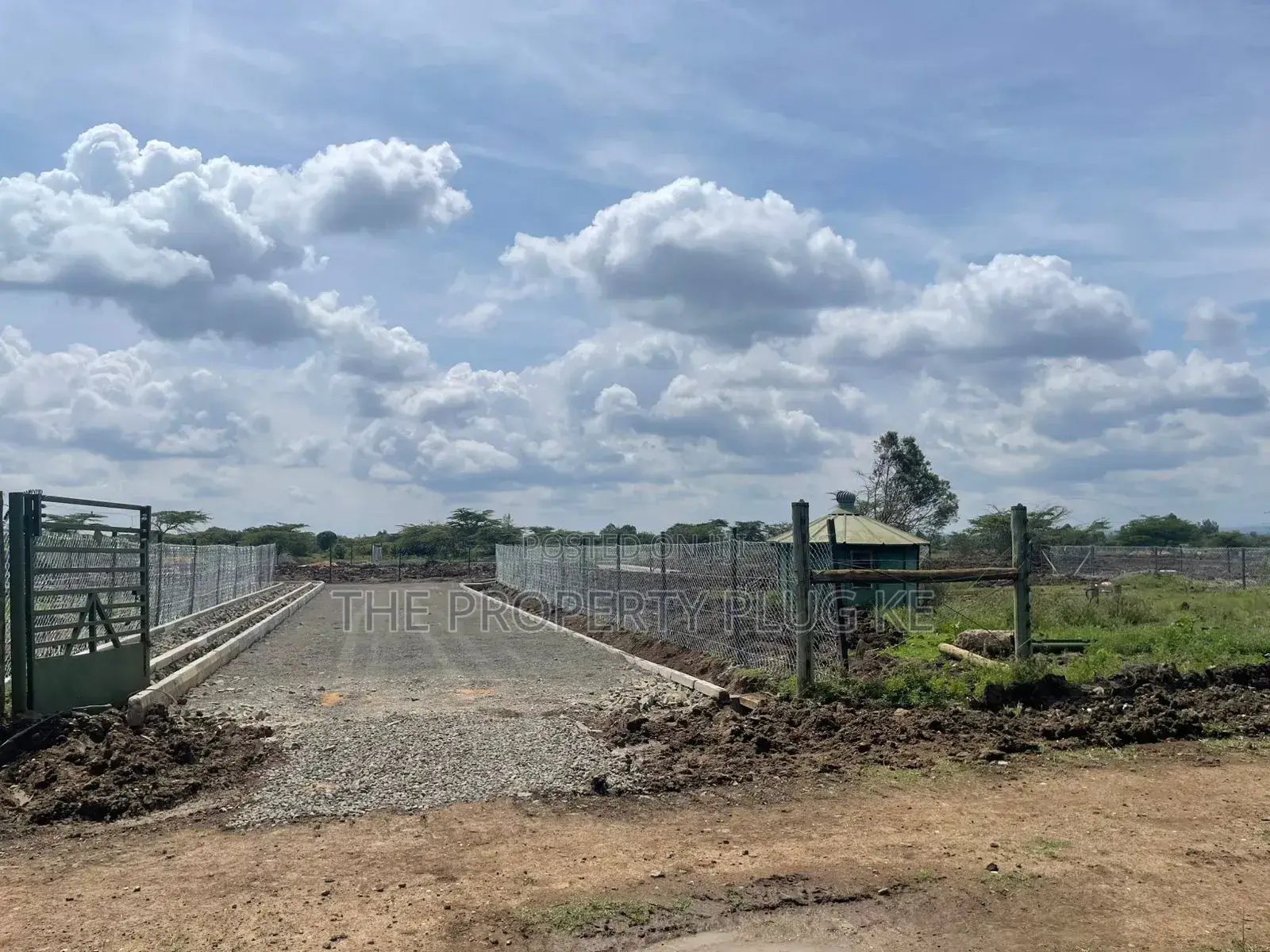 1/4 Acre Plots for Sale in Chaka in Mweiga