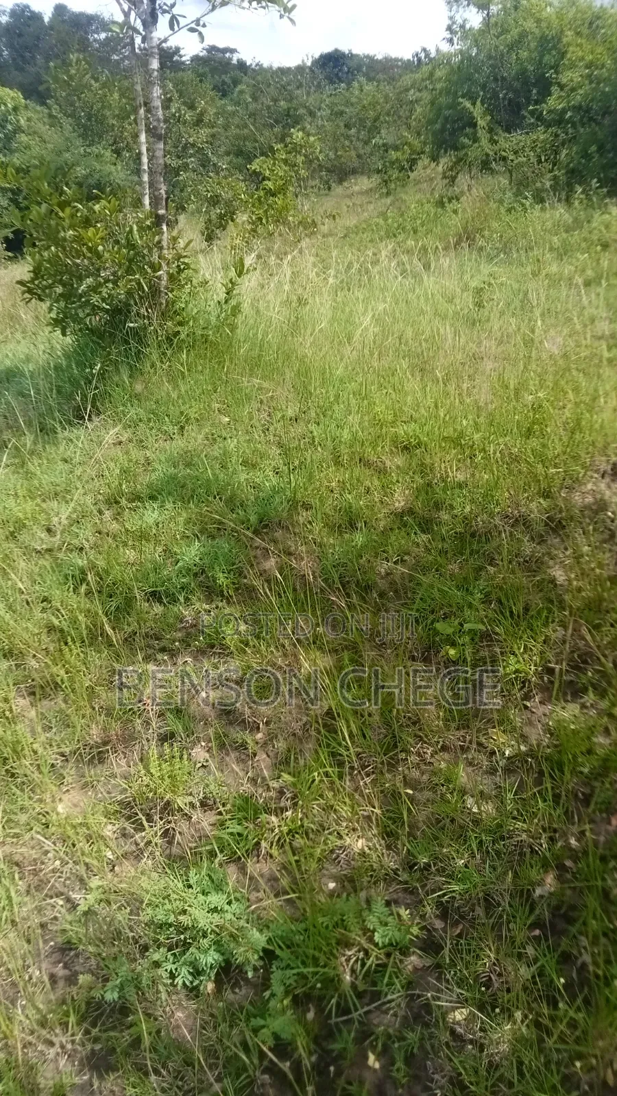 Quarter Acre for Sale at Maragua Ridge in Kambiti