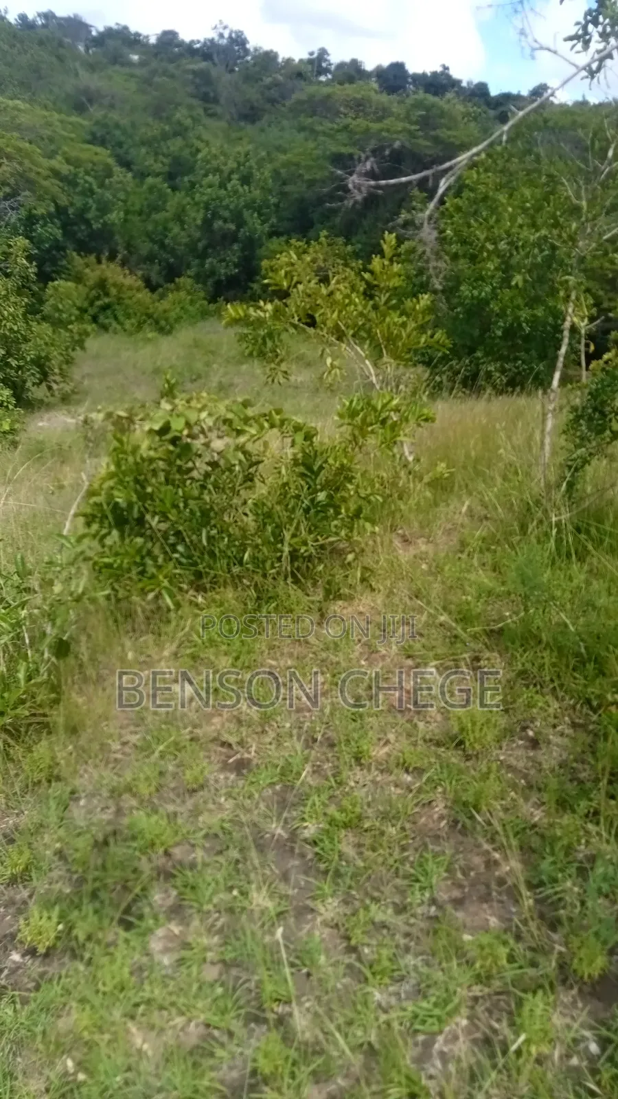 Quarter Acre for Sale at Maragua Ridge in Kambiti