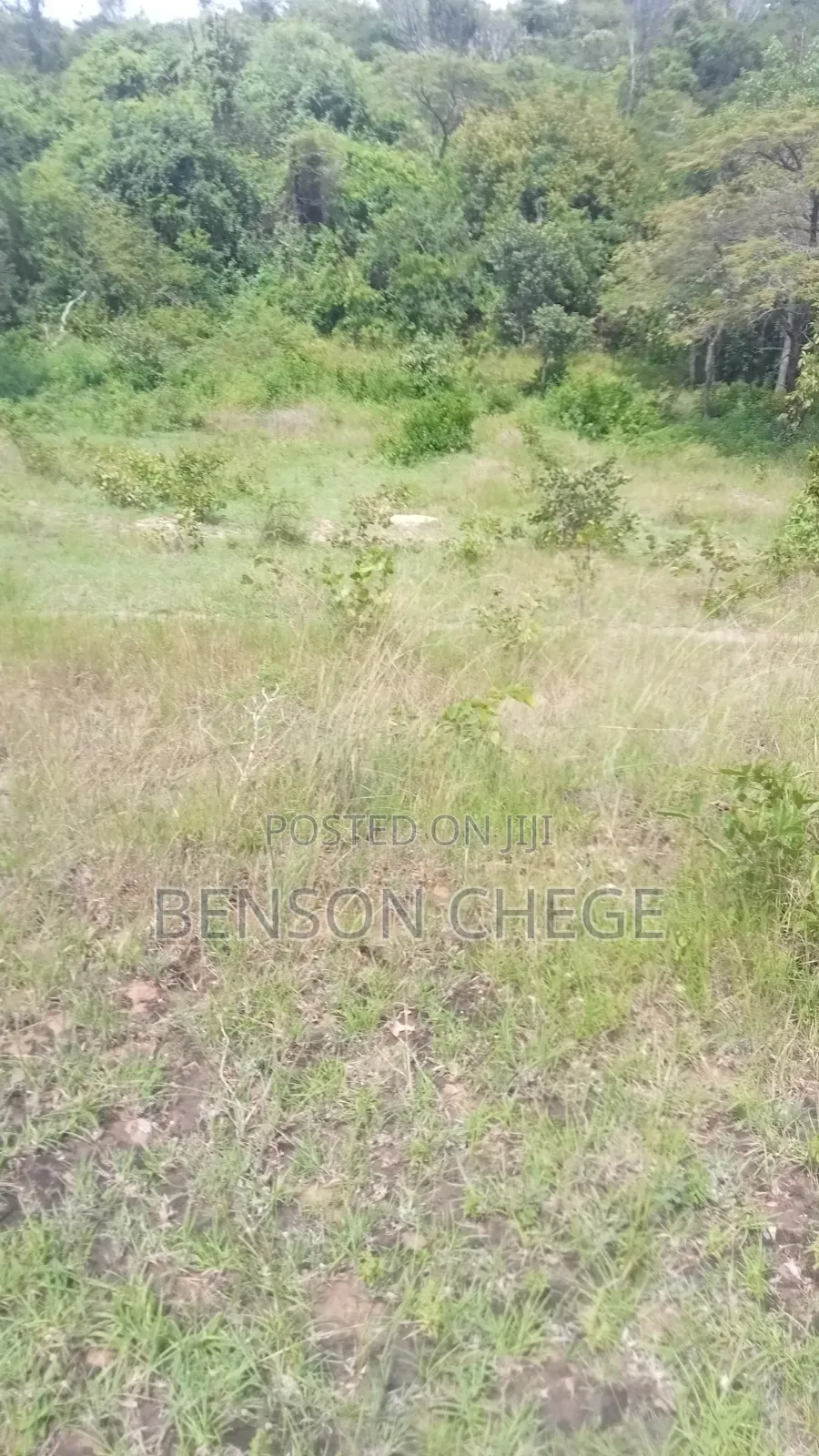Quarter Acre for Sale at Maragua Ridge in Kambiti