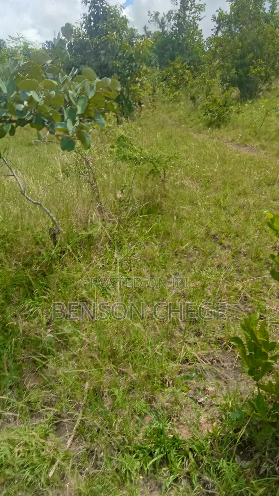 Quarter Acre for Sale at Maragua Ridge in Kambiti