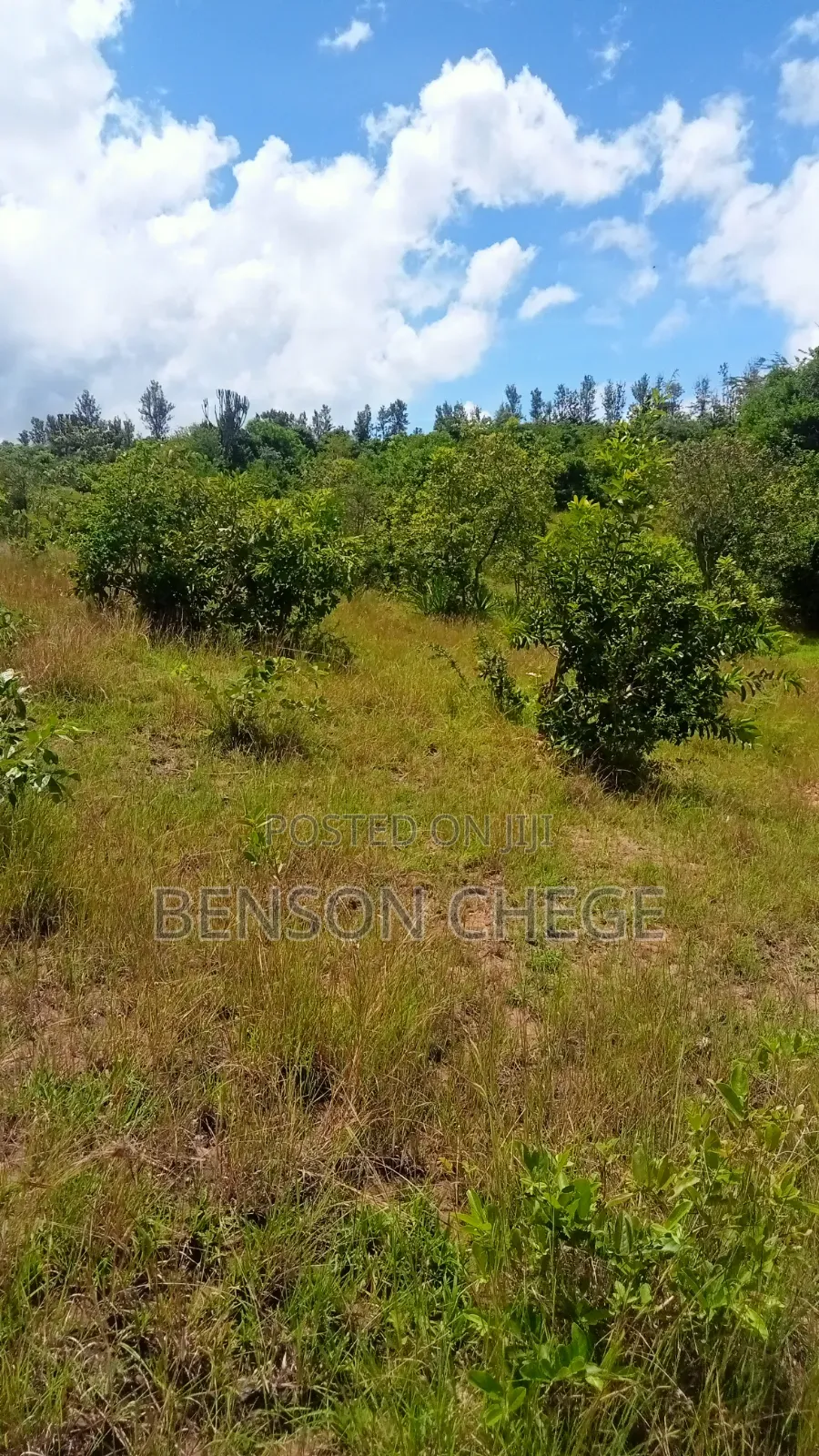 3acres for Sale at Maragua Ridge in Kambiti
