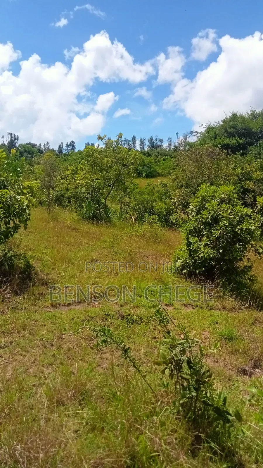 3acres for Sale at Maragua Ridge in Kambiti