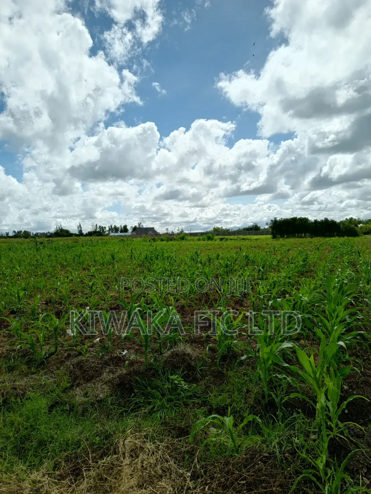 22 Acres Off the Eastern Bypass for Sale in Ruai