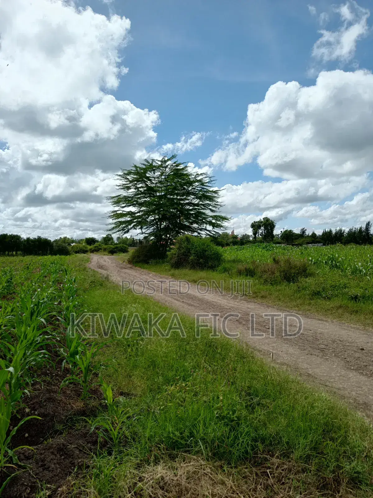 22 Acres Off the Eastern Bypass for Sale in Ruai