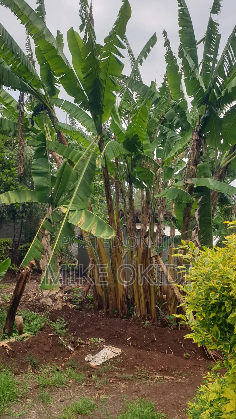 Plots for Sale in Kerarapon in Kerarapon