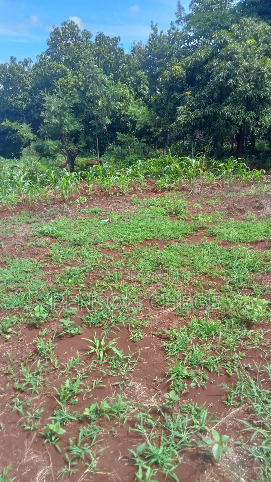 1acre Land for Sale at Maragua Ridge in Kambiti
