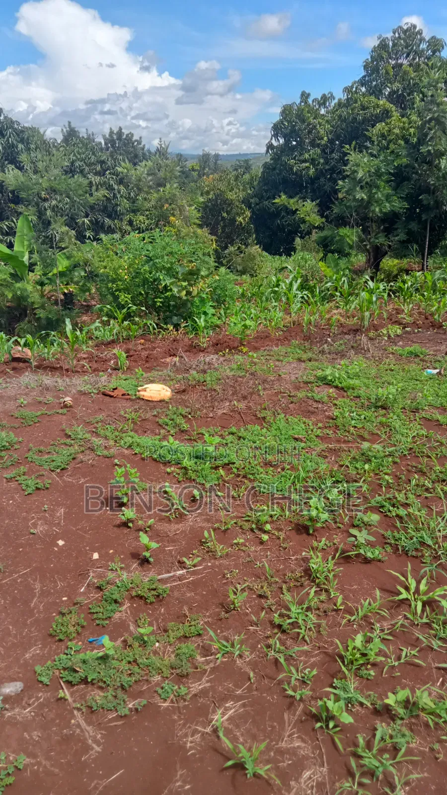 1acre Land for Sale at Maragua Ridge in Kambiti