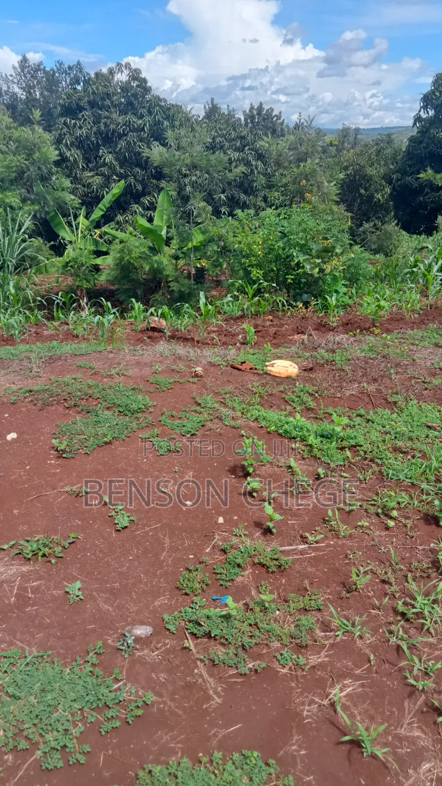 1acre Land for Sale at Maragua Ridge in Kambiti