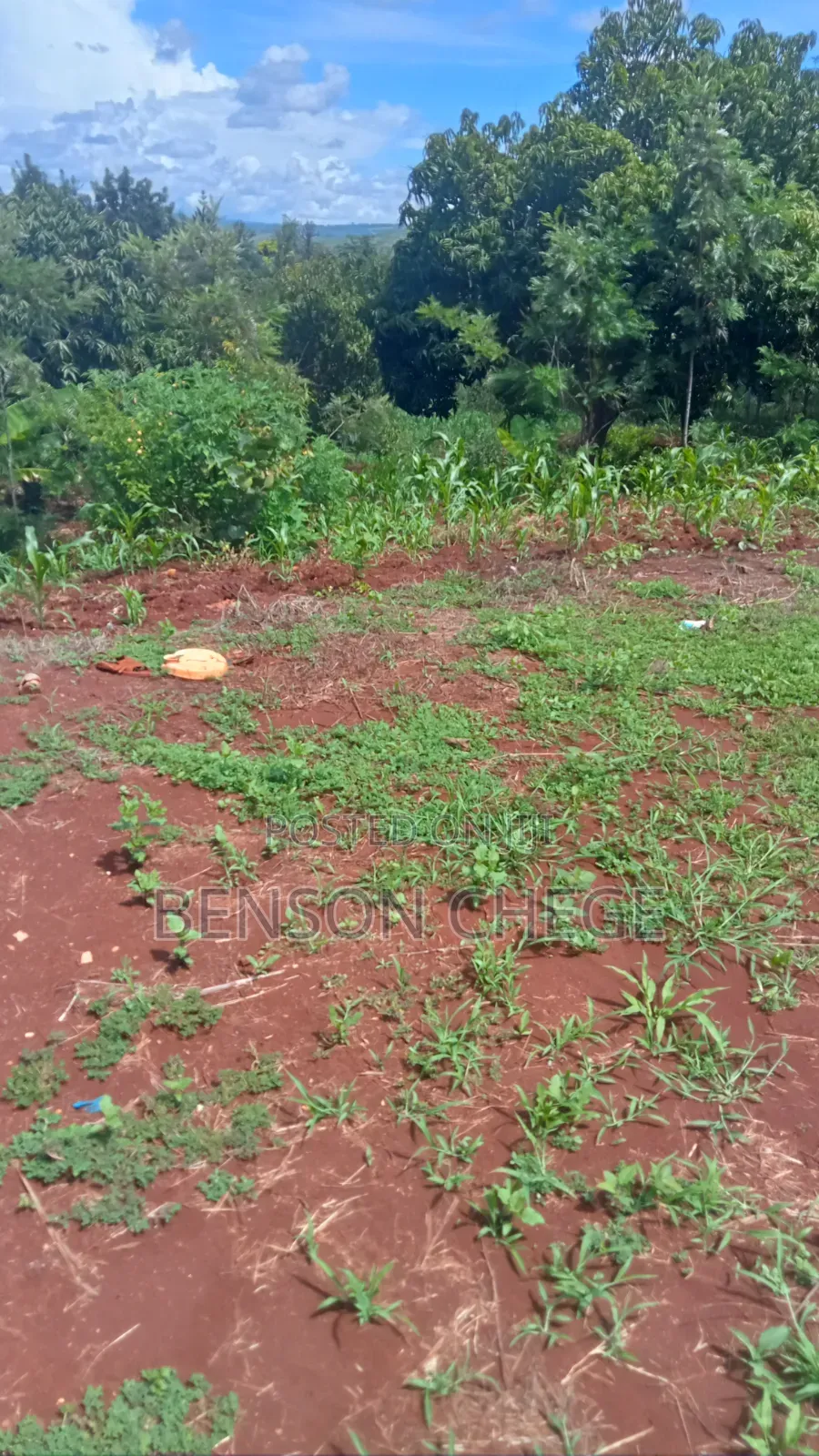 1acre Land for Sale at Maragua Ridge in Kambiti