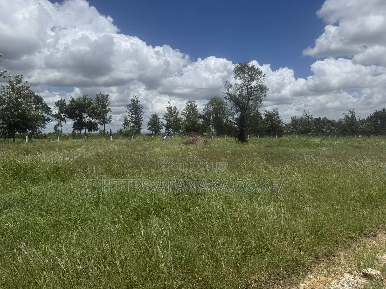 Hotcake Plots in Prime Kinanie.^Bw in Athi River