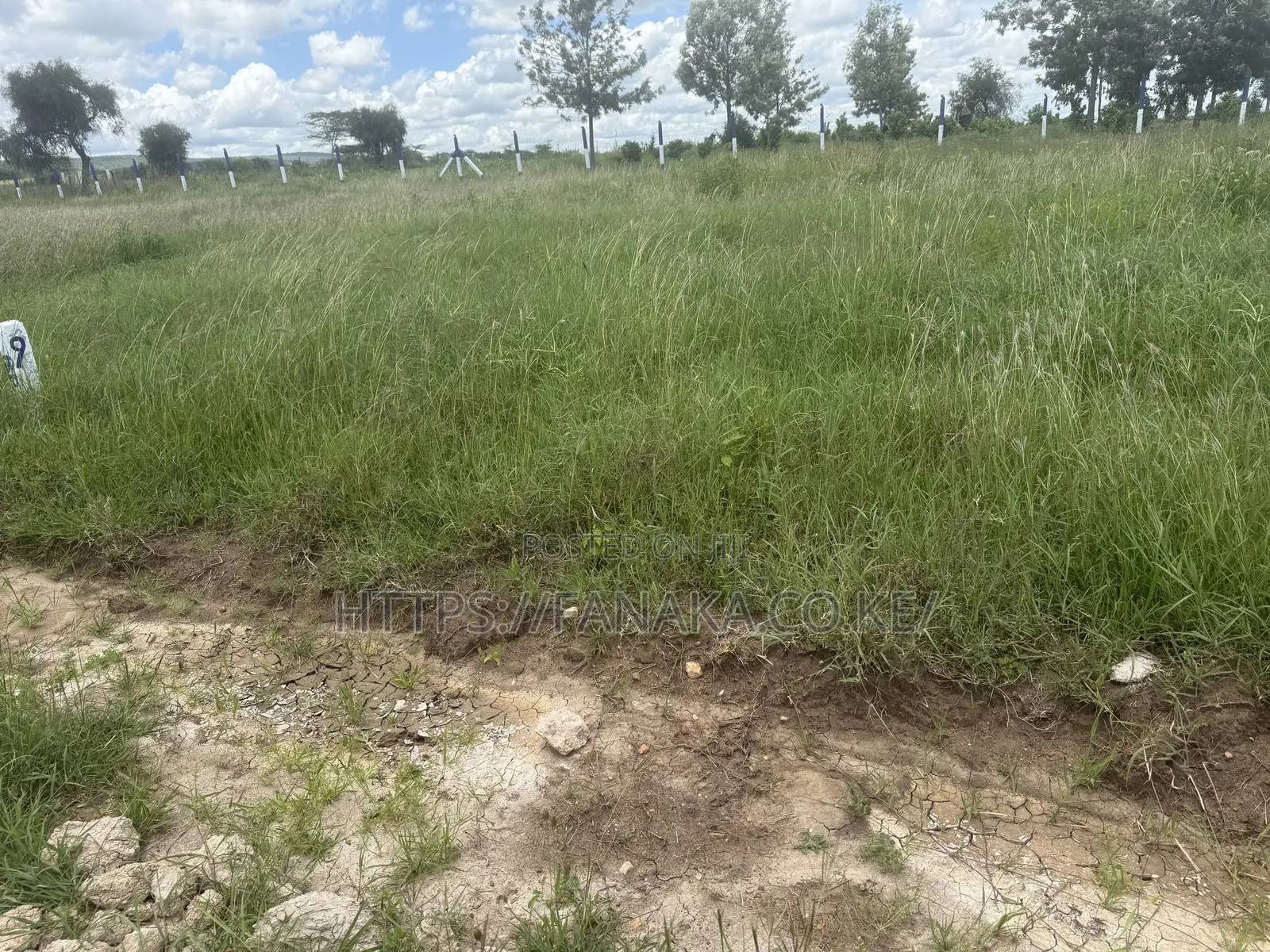 Hotcake Plots in Prime Kinanie.^Bw in Athi River