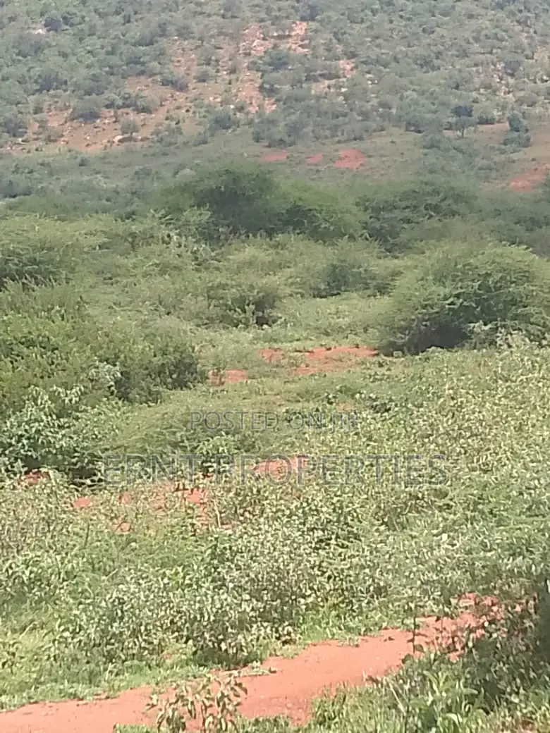 Strategic 1-Acre Prime Plot – Namanga in Namanga