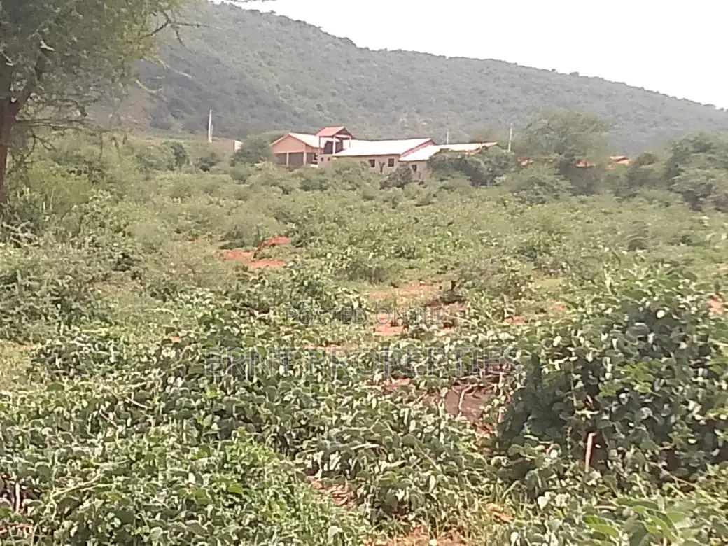 Strategic 1-Acre Prime Plot – Namanga in Namanga