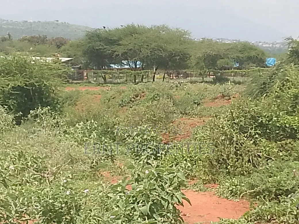 Strategic 1-Acre Prime Plot – Namanga in Namanga