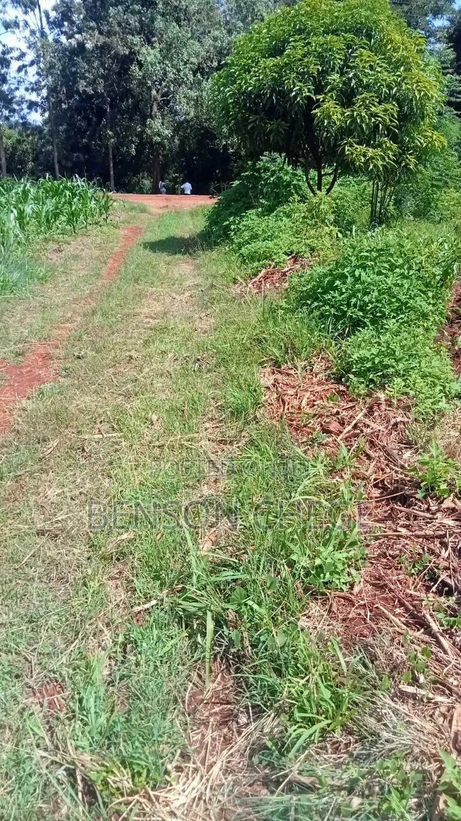 3/4acre of an Acre for Sale at Maragua Ridge in Kambiti