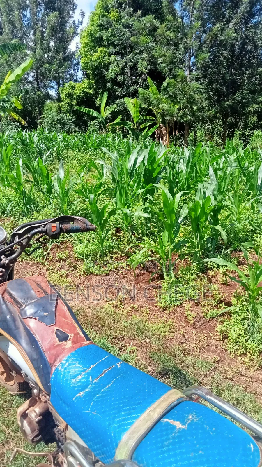 3/4acre of an Acre for Sale at Maragua Ridge in Kambiti