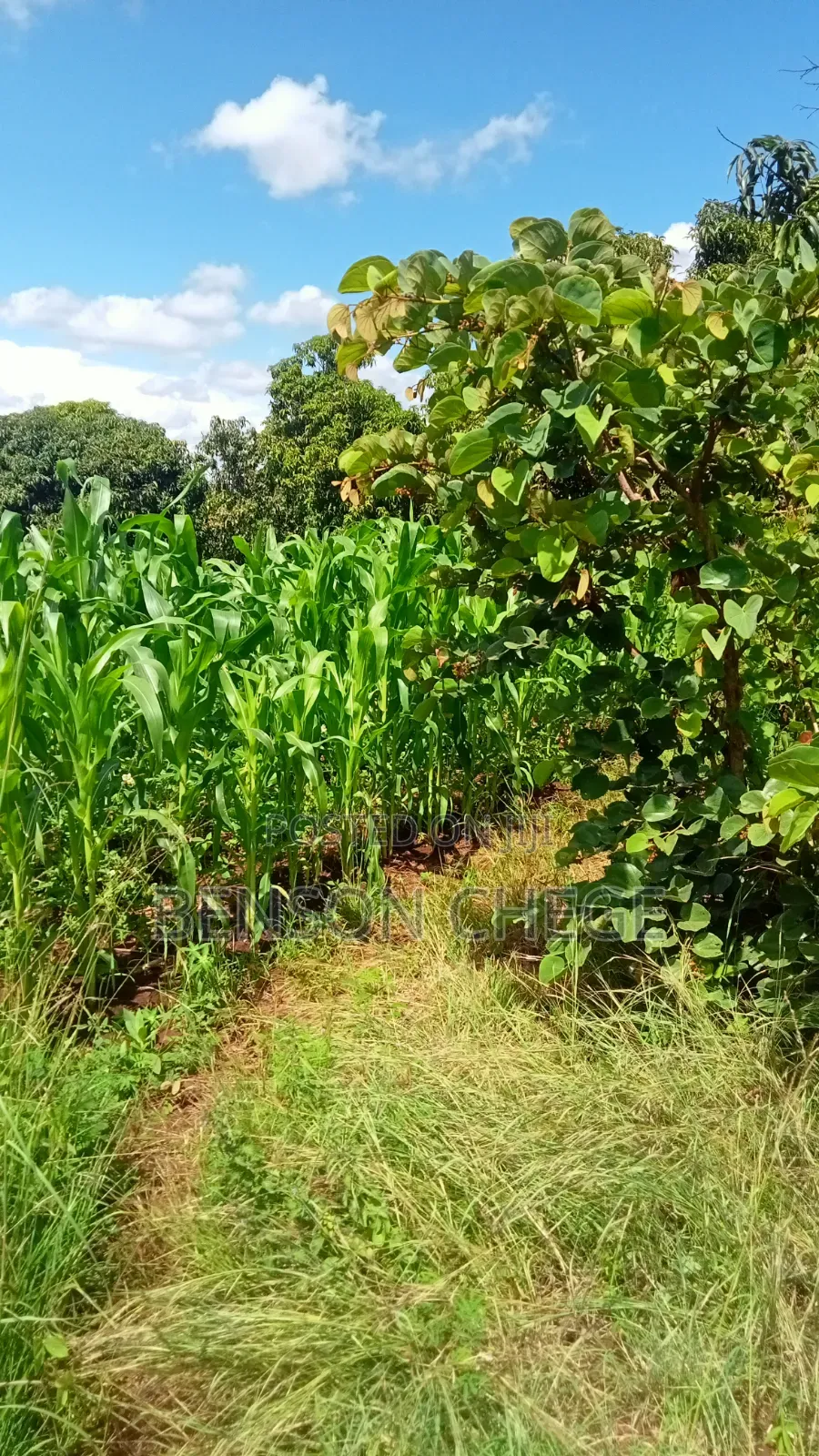 2acre for Sale at Maragua Ridge in Kambiti