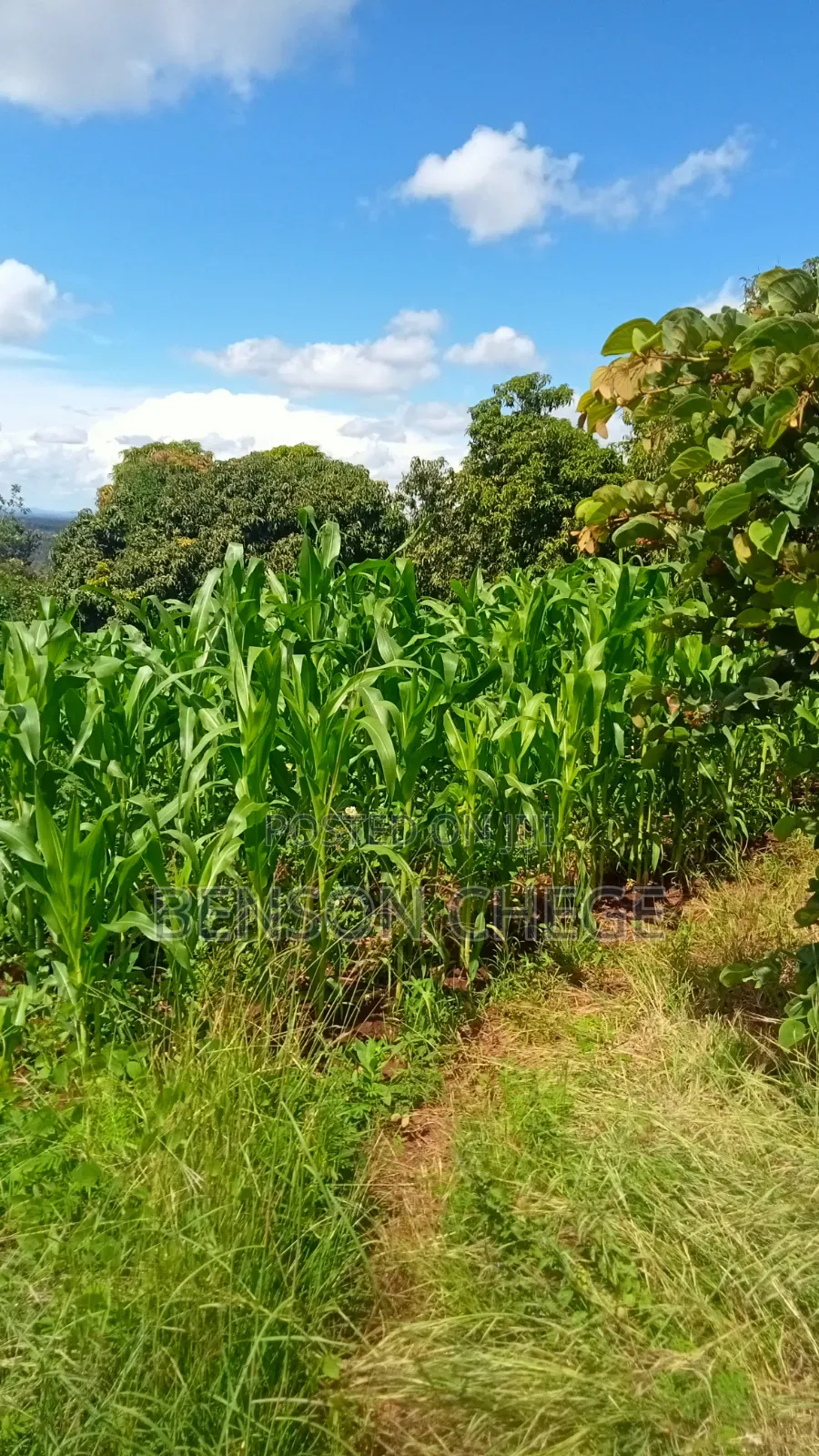 2acre for Sale at Maragua Ridge in Kambiti