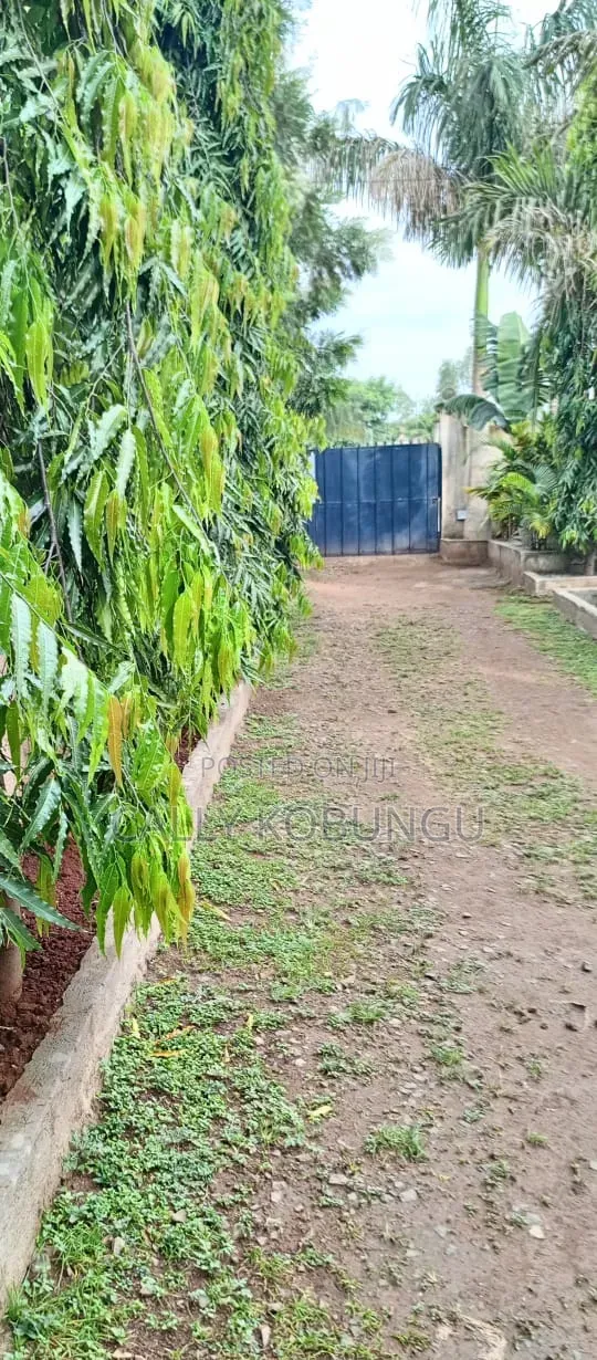 4bdrm Maisonette in Riat, Kogony for sale in Kogony