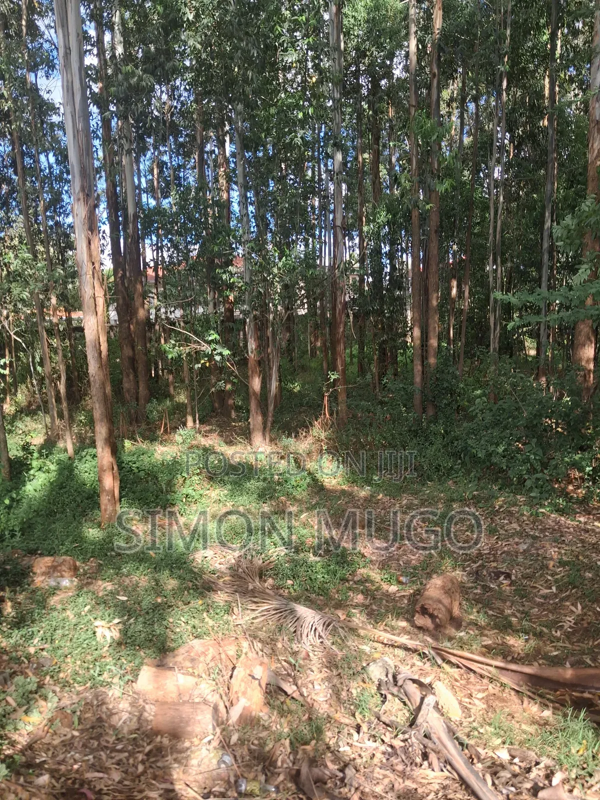 Ridgeways Residential 1/2 Ac in a Controlled Development Gated Court in Ridgeways