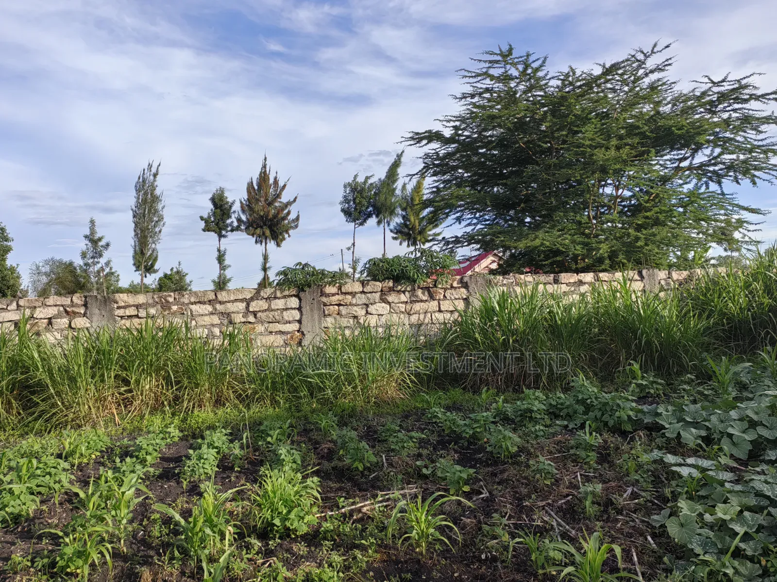 Quarter Acre for Sale in Ruai Nairobi County. in Ruai