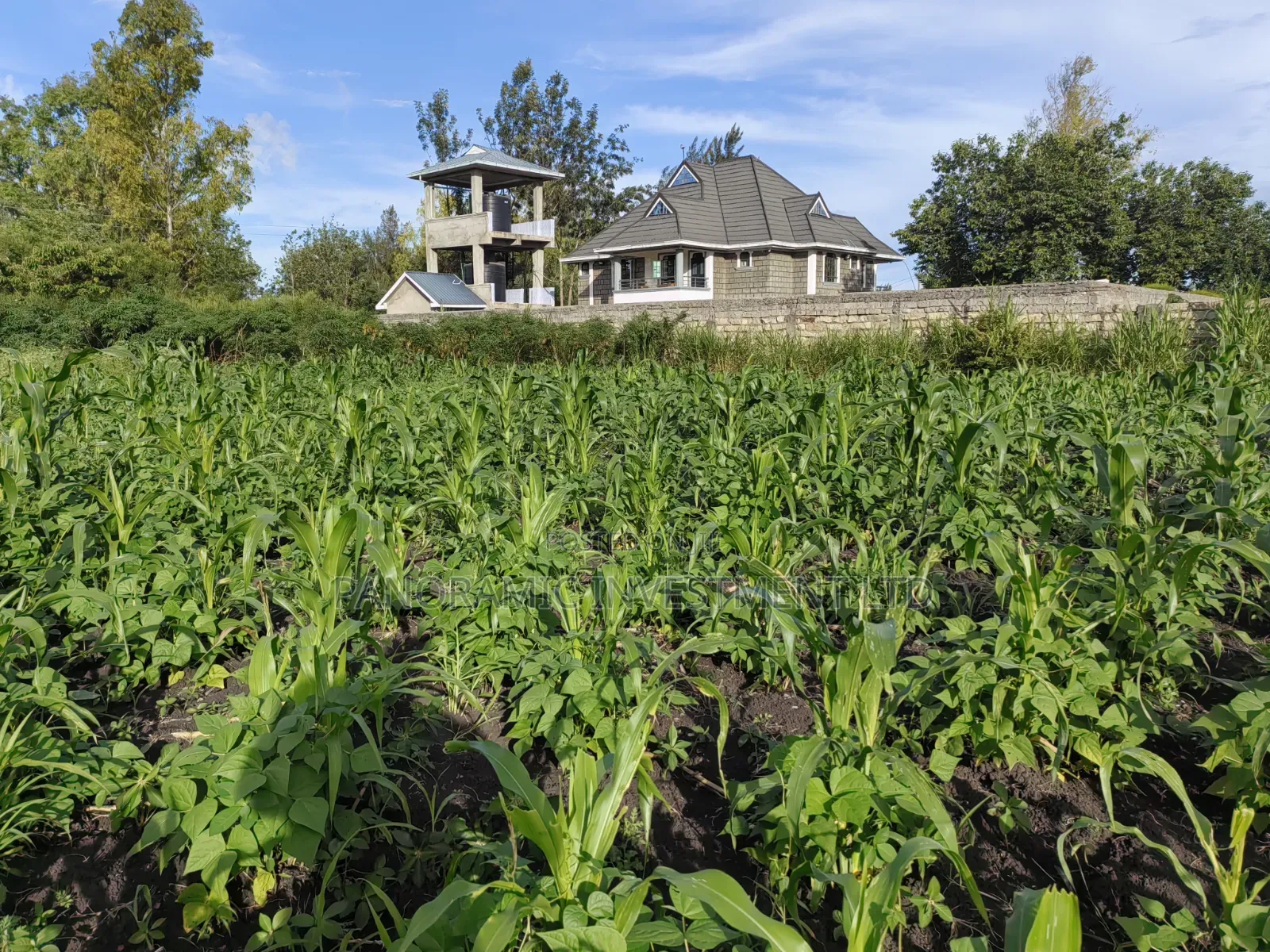 Quarter Acre for Sale in Ruai Nairobi County. in Ruai