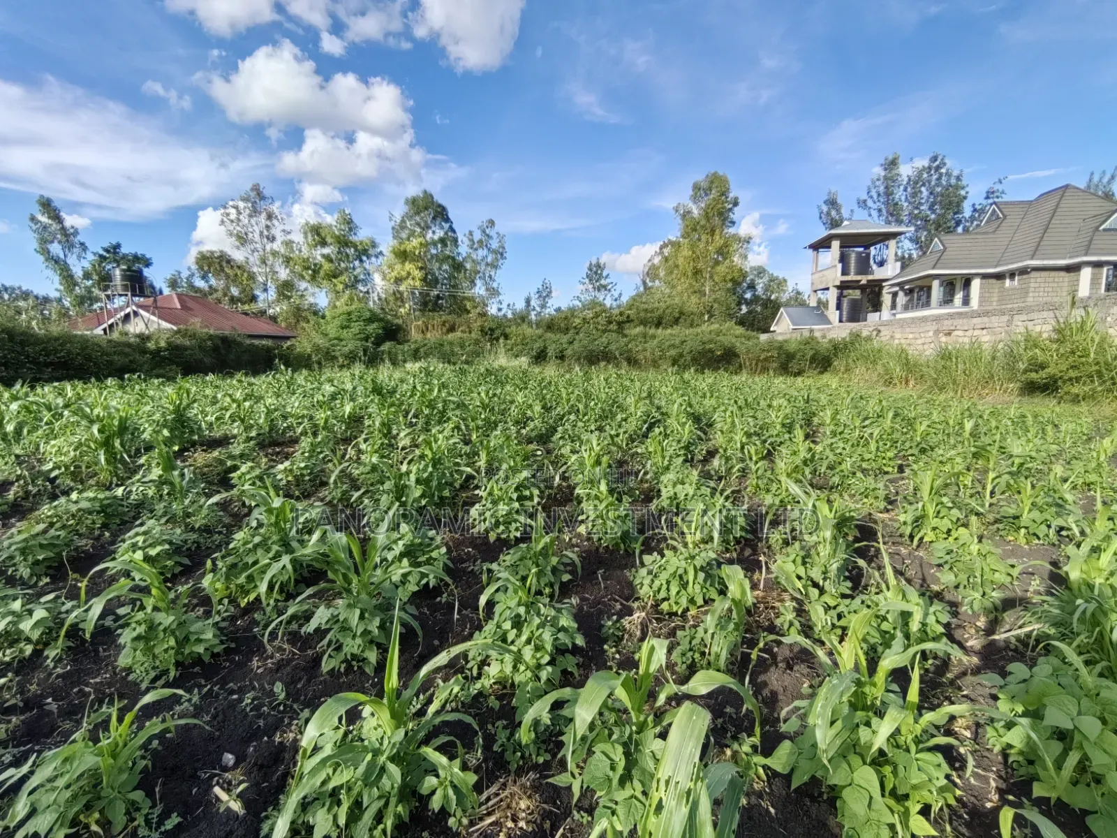 Quarter Acre for Sale in Ruai Nairobi County. in Ruai