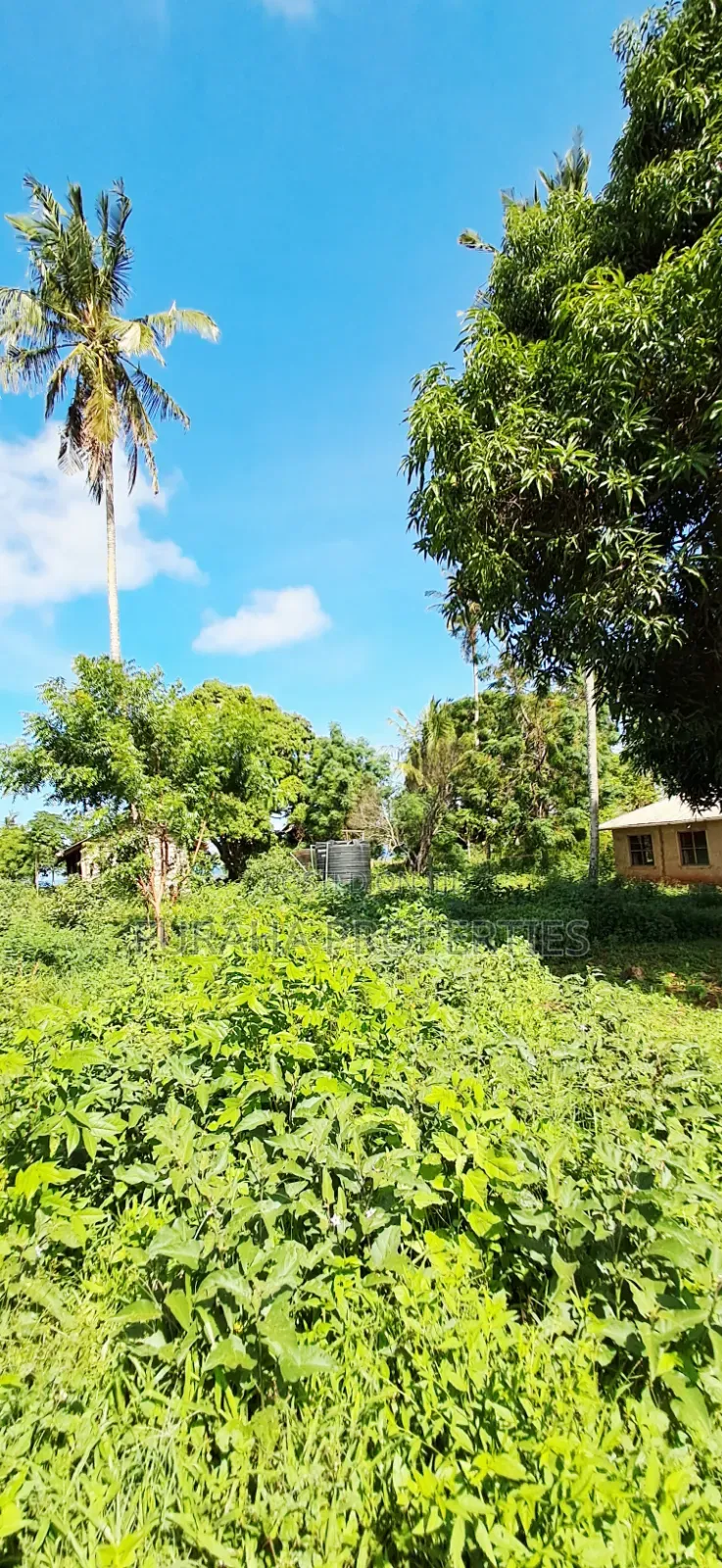 For Sale 11 Acres Land Vipingo in Vipingo