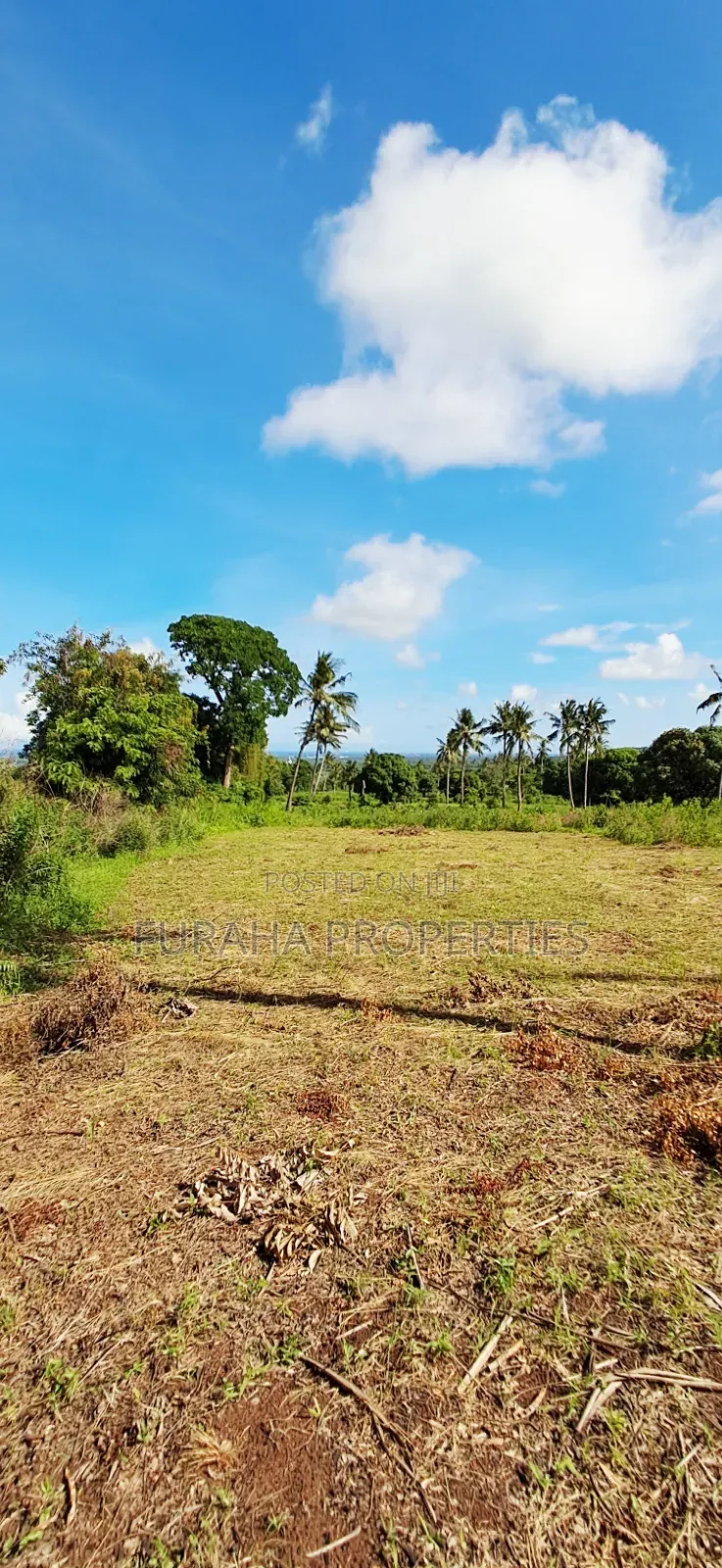 For Sale 11 Acres Land Vipingo in Vipingo