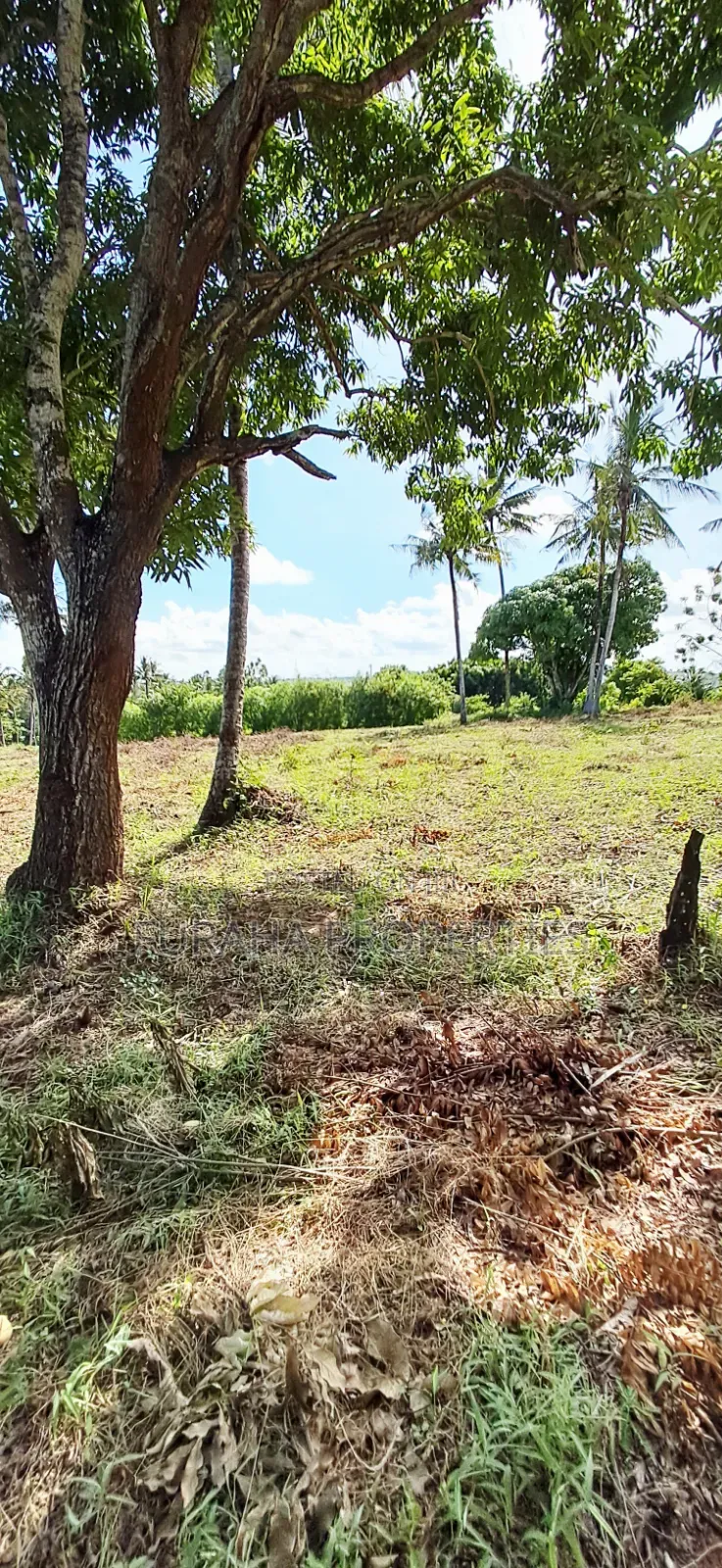 For Sale 11 Acres Land Vipingo in Vipingo